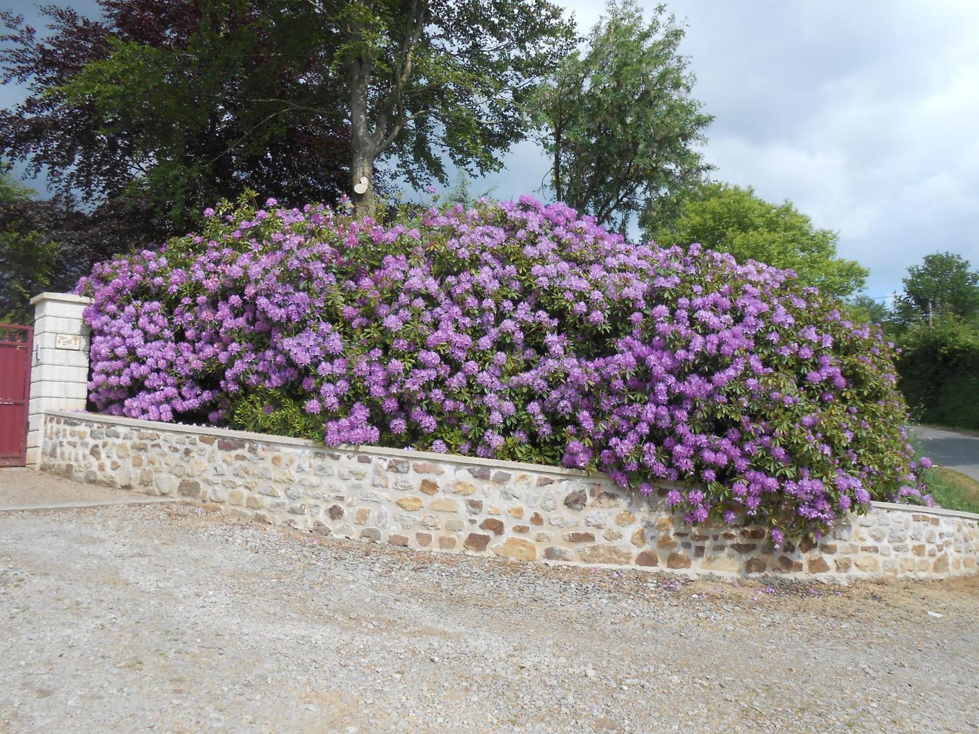 Maison Brix Bagian luar foto